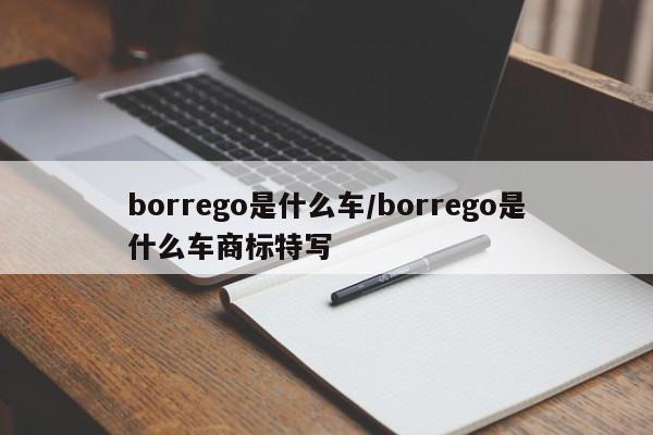 borrego是什么车/borrego是什么车商标特写