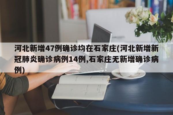 河北新增47例确诊均在石家庄(河北新增新冠肺炎确诊病例14例,石家庄无新增确诊病例)